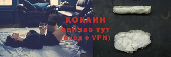 бошки Новозыбков