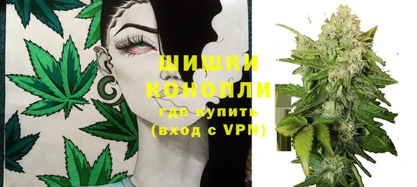 бошки Новозыбков
