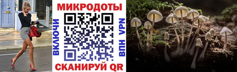 купить наркоту  Урень  Галлюциногенные грибы Psilocybine cubensis 